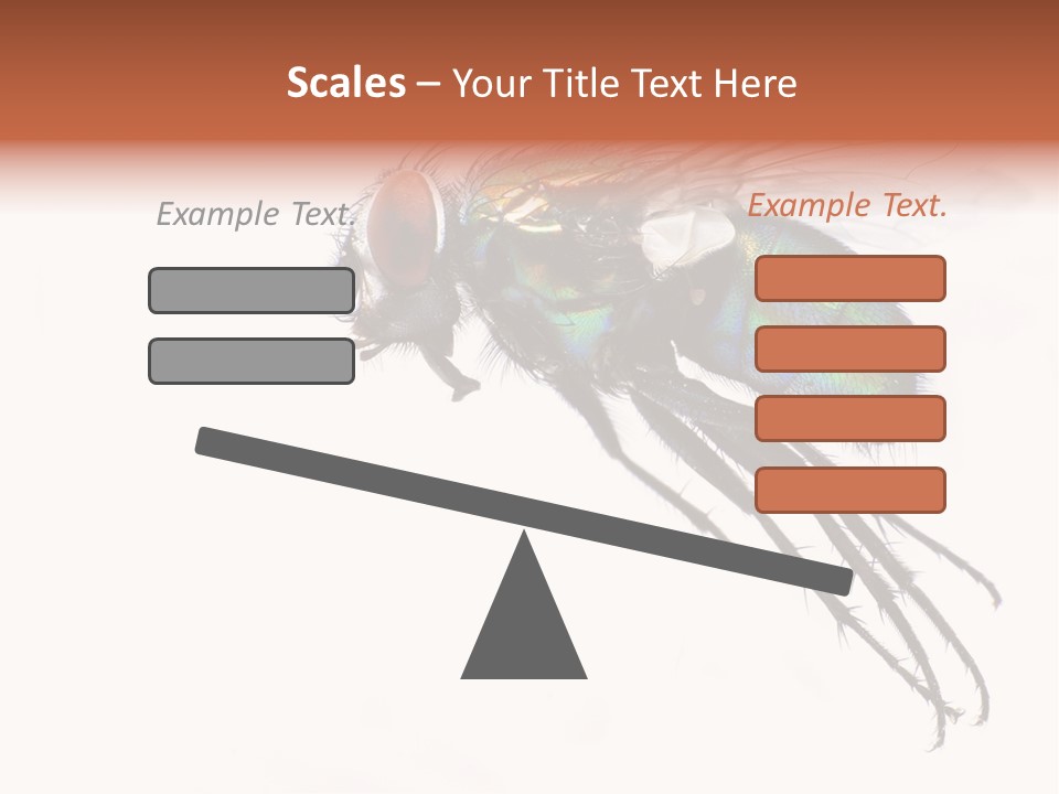 Freely Left Wing PowerPoint Template