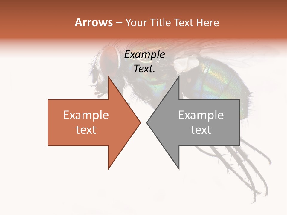 Freely Left Wing PowerPoint Template