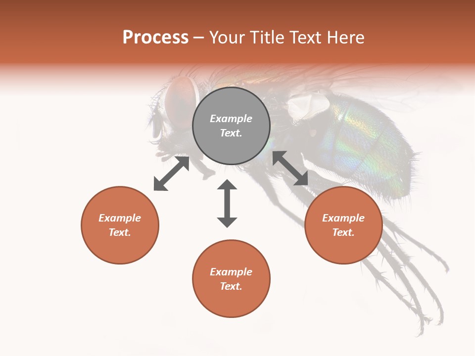 Freely Left Wing PowerPoint Template
