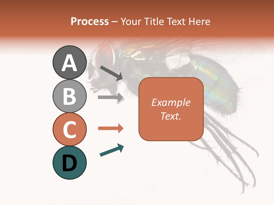 Freely Left Wing PowerPoint Template