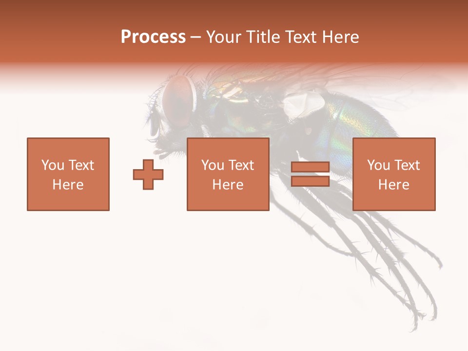 Freely Left Wing PowerPoint Template