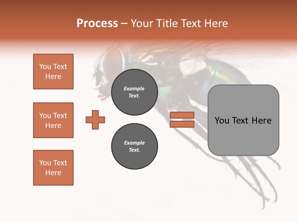 Freely Left Wing PowerPoint Template