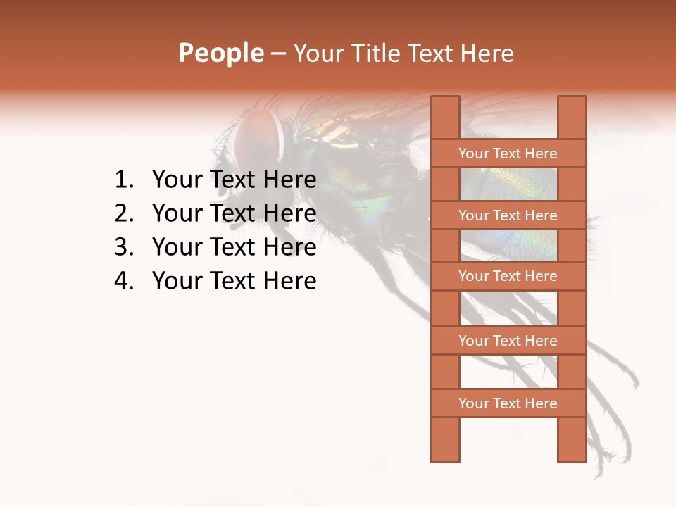 Freely Left Wing PowerPoint Template
