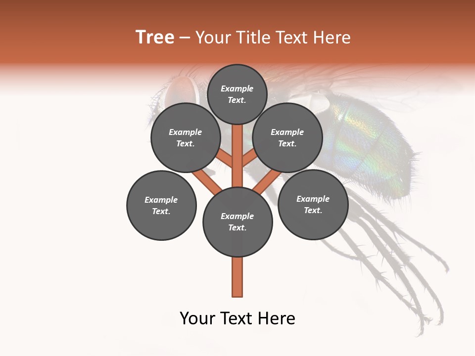 Freely Left Wing PowerPoint Template
