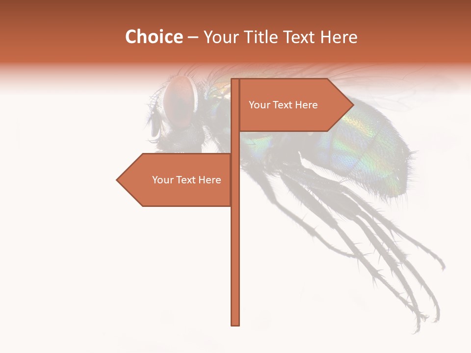 Freely Left Wing PowerPoint Template