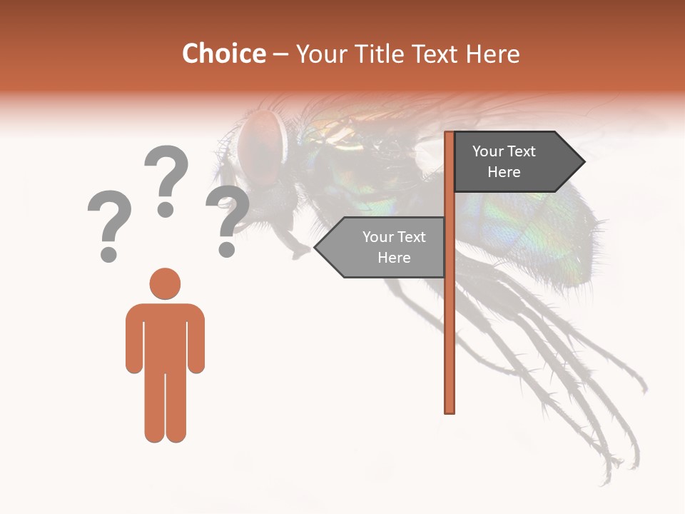 Freely Left Wing PowerPoint Template