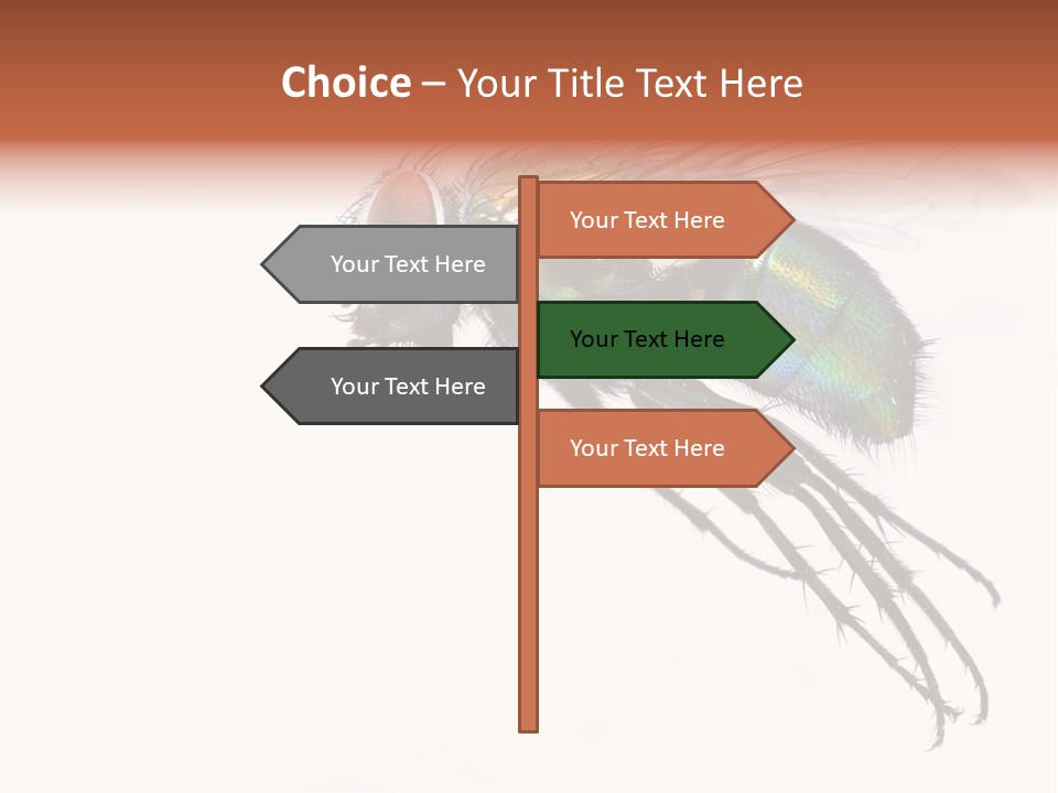 Freely Left Wing PowerPoint Template
