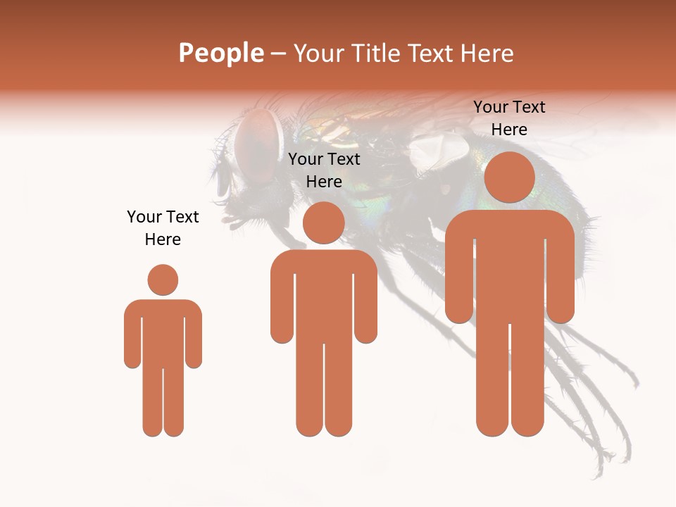 Freely Left Wing PowerPoint Template