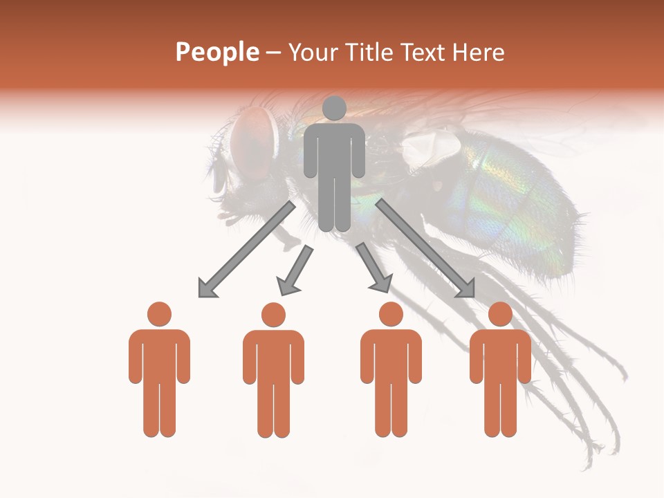 Freely Left Wing PowerPoint Template