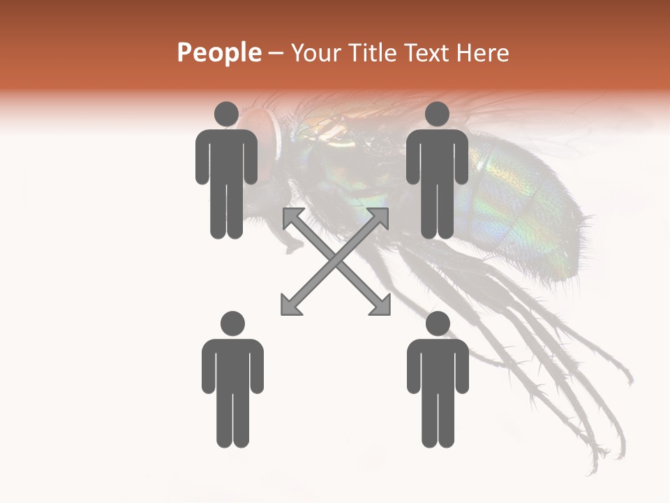 Freely Left Wing PowerPoint Template