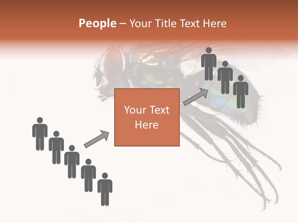 Freely Left Wing PowerPoint Template