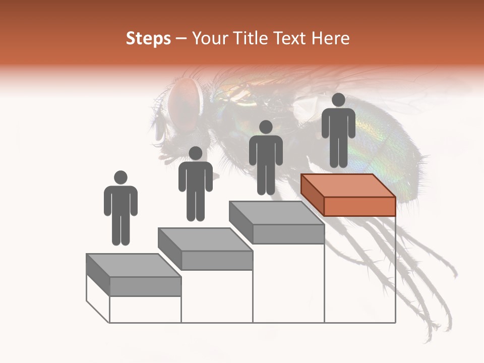 Freely Left Wing PowerPoint Template