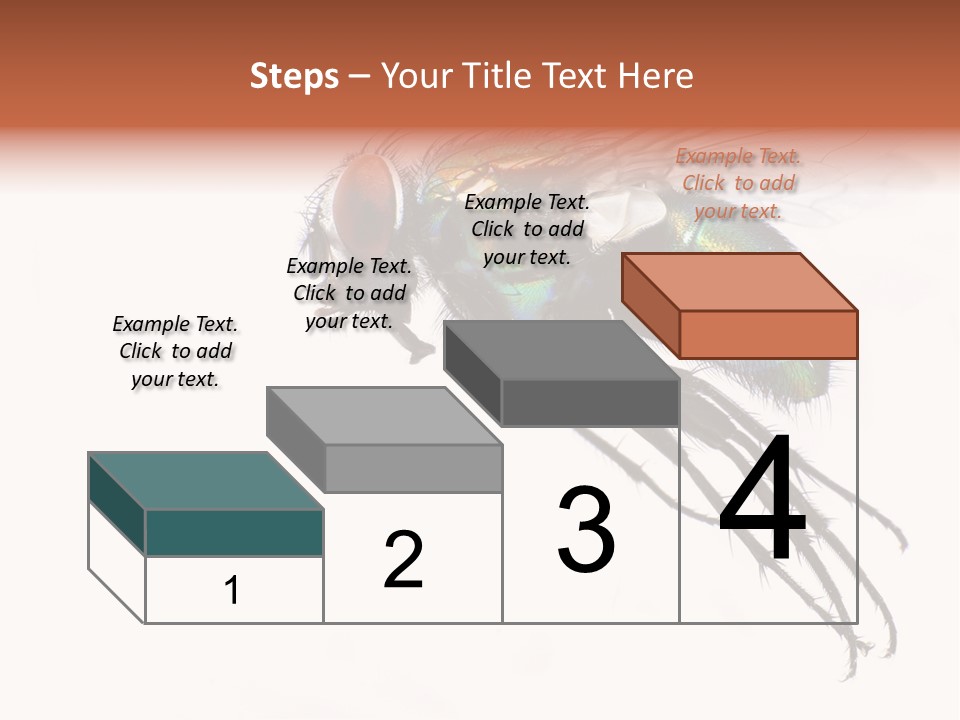 Freely Left Wing PowerPoint Template