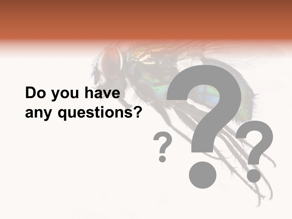 Freely Left Wing PowerPoint Template