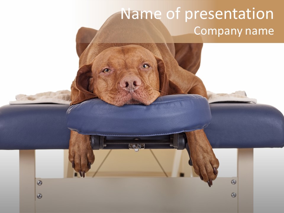 Cute Spa Relaxing PowerPoint Template