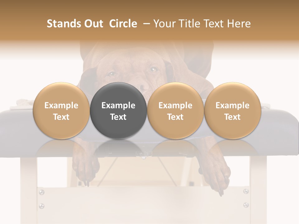 Cute Spa Relaxing PowerPoint Template