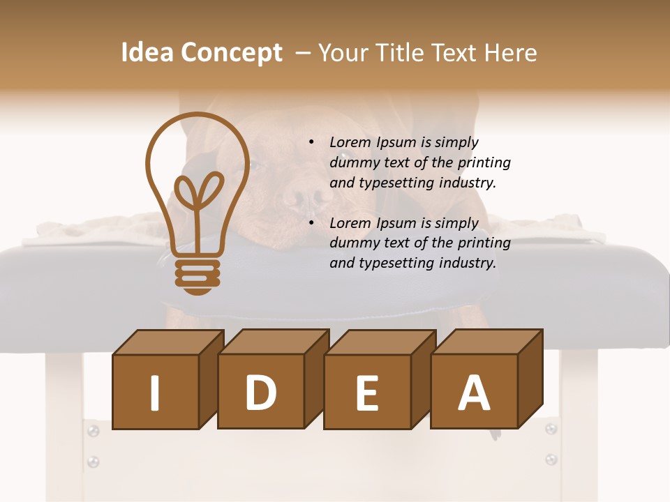 Cute Spa Relaxing PowerPoint Template