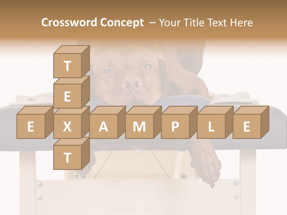 Cute Spa Relaxing PowerPoint Template