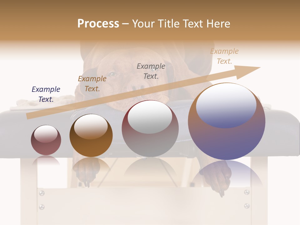 Cute Spa Relaxing PowerPoint Template