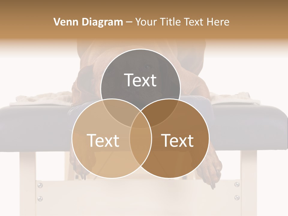 Cute Spa Relaxing PowerPoint Template