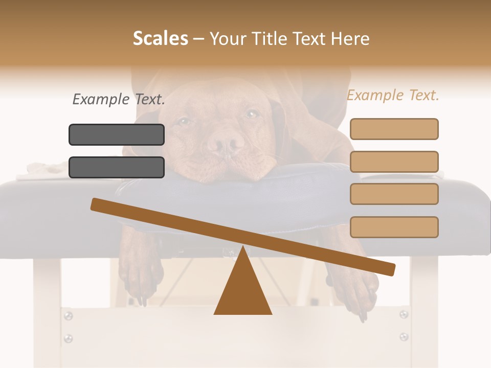 Cute Spa Relaxing PowerPoint Template