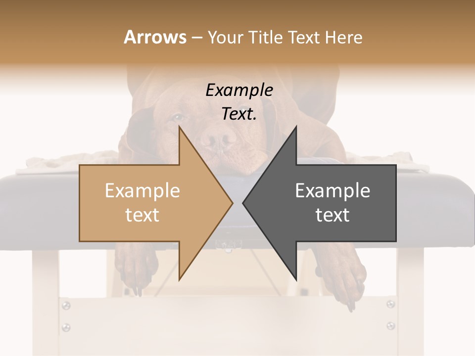 Cute Spa Relaxing PowerPoint Template