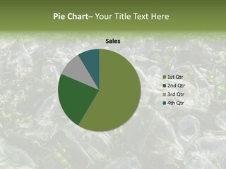 Bottle Reprocessing Alcoholism PowerPoint Template