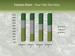 Bottle Reprocessing Alcoholism PowerPoint Template