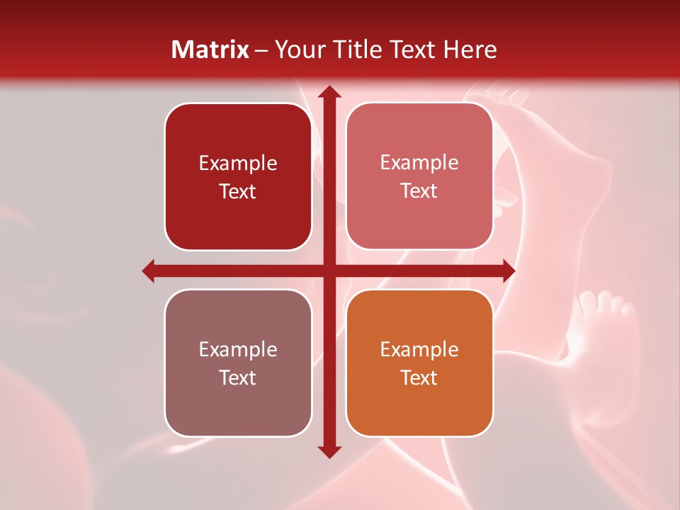 Human Physiology Emryonic PowerPoint Template