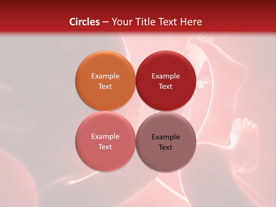 Human Physiology Emryonic PowerPoint Template