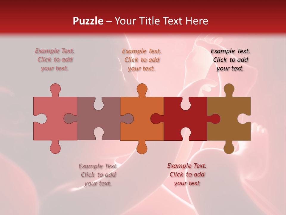 Human Physiology Emryonic PowerPoint Template