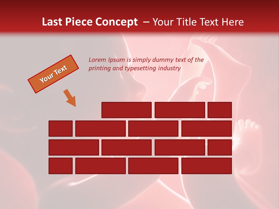 Human Physiology Emryonic PowerPoint Template