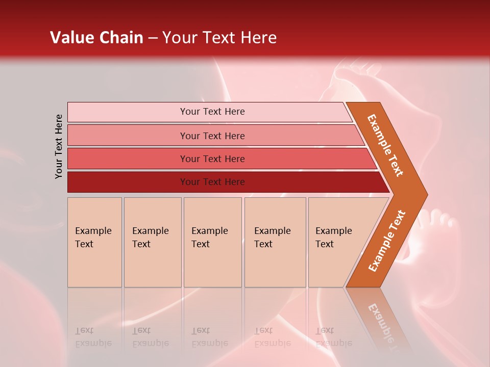 Human Physiology Emryonic PowerPoint Template