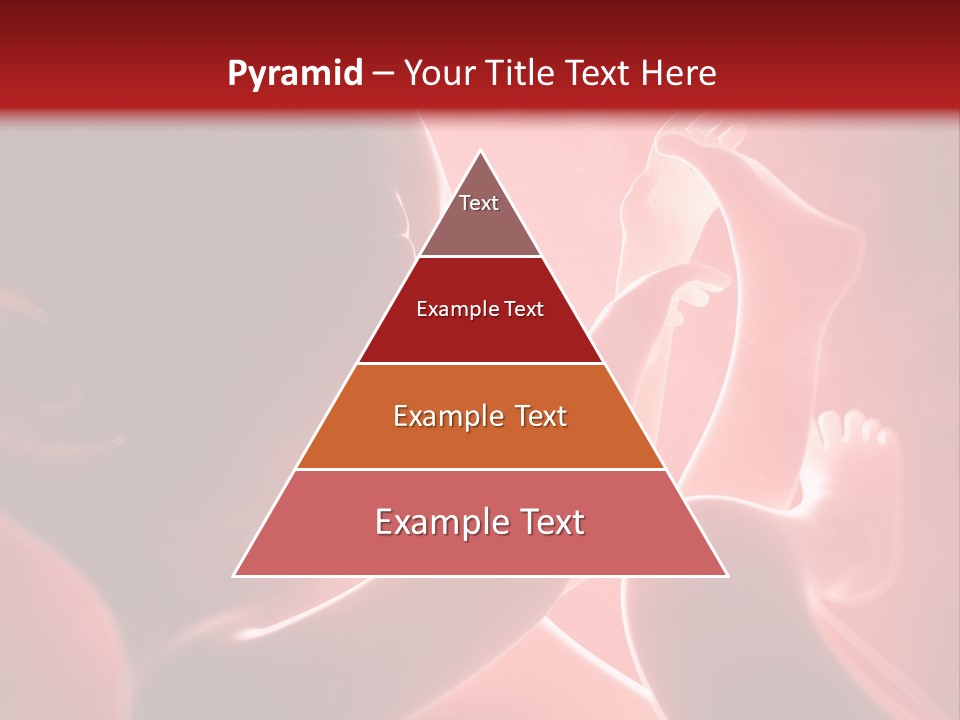 Human Physiology Emryonic PowerPoint Template