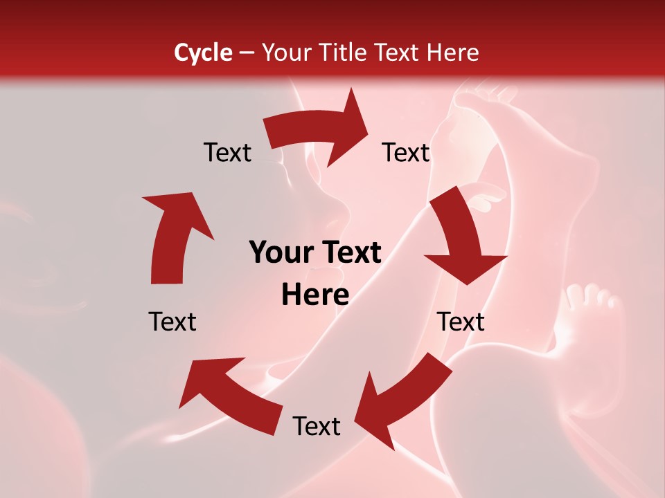 Human Physiology Emryonic PowerPoint Template
