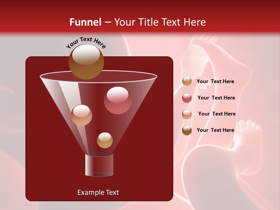 Human Physiology Emryonic PowerPoint Template