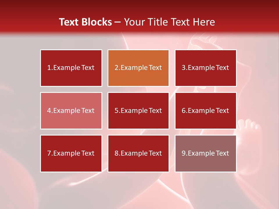 Human Physiology Emryonic PowerPoint Template