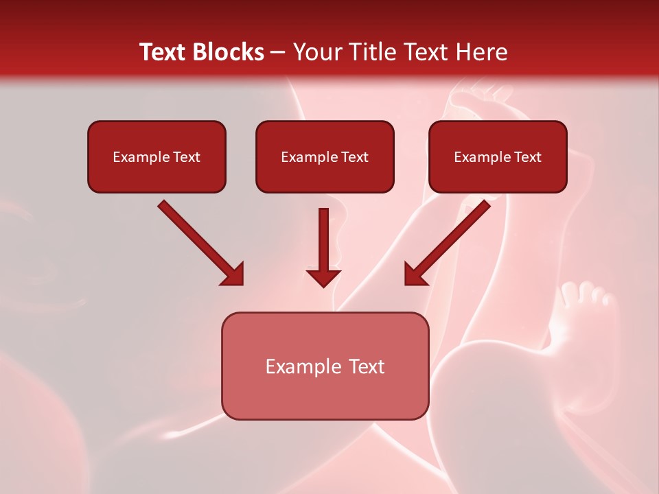 Human Physiology Emryonic PowerPoint Template