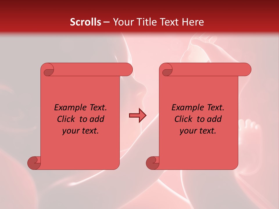 Human Physiology Emryonic PowerPoint Template