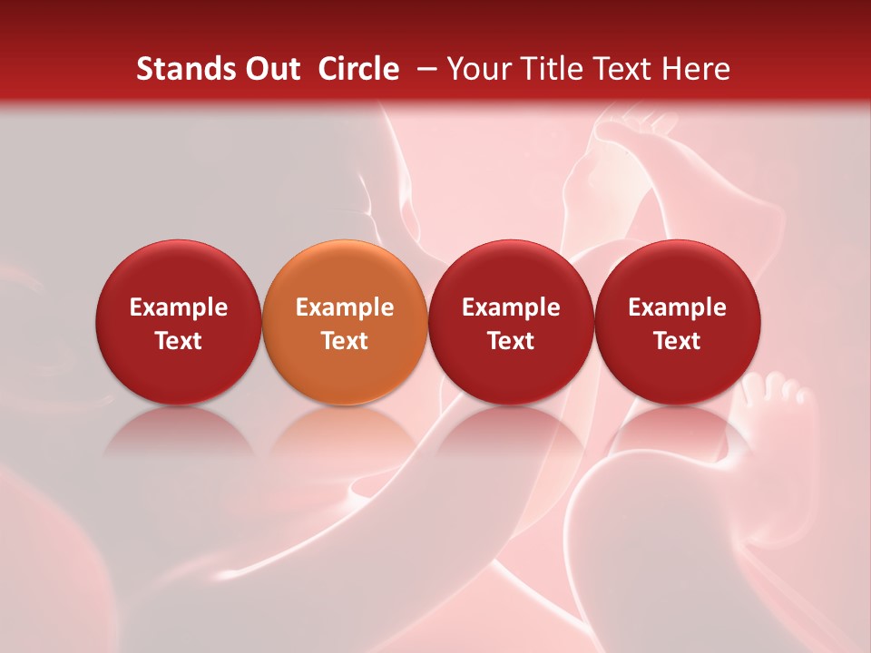 Human Physiology Emryonic PowerPoint Template