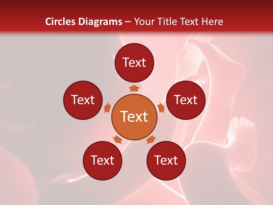 Human Physiology Emryonic PowerPoint Template