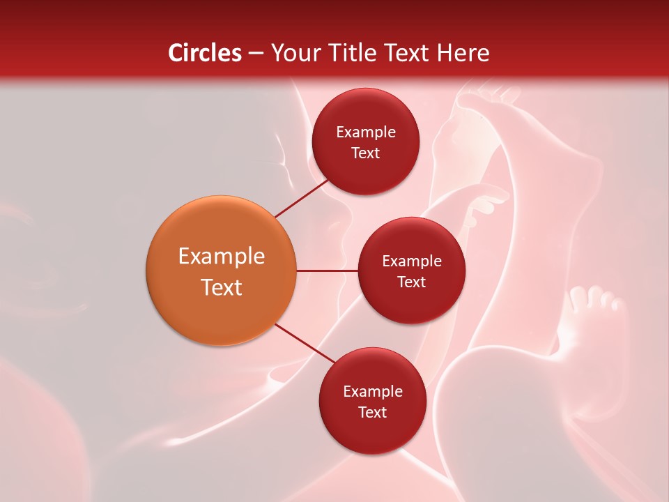 Human Physiology Emryonic PowerPoint Template