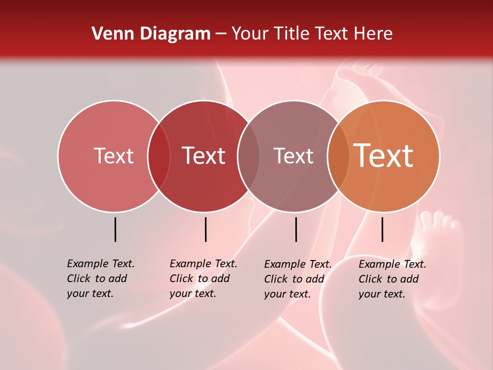 Human Physiology Emryonic PowerPoint Template