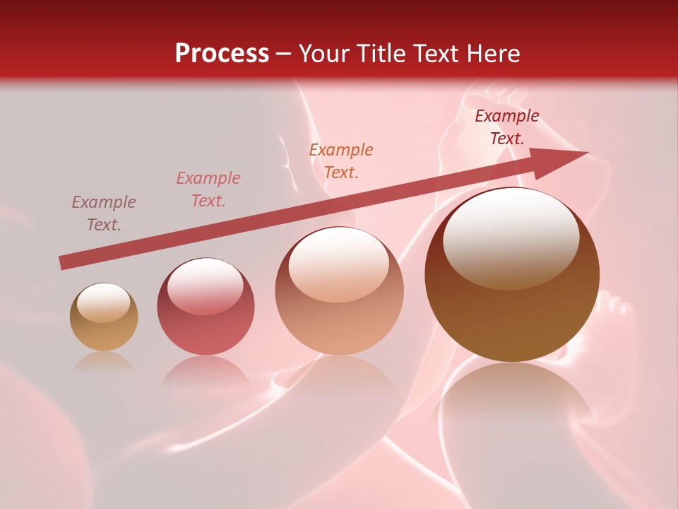 Human Physiology Emryonic PowerPoint Template