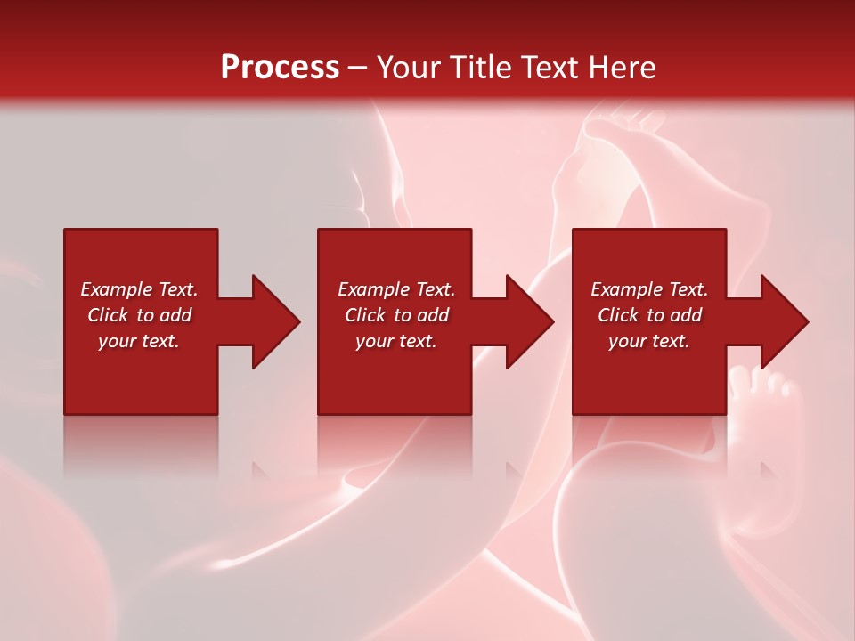 Human Physiology Emryonic PowerPoint Template