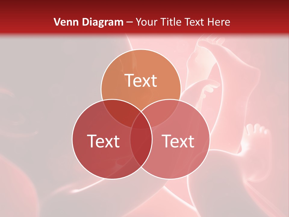 Human Physiology Emryonic PowerPoint Template