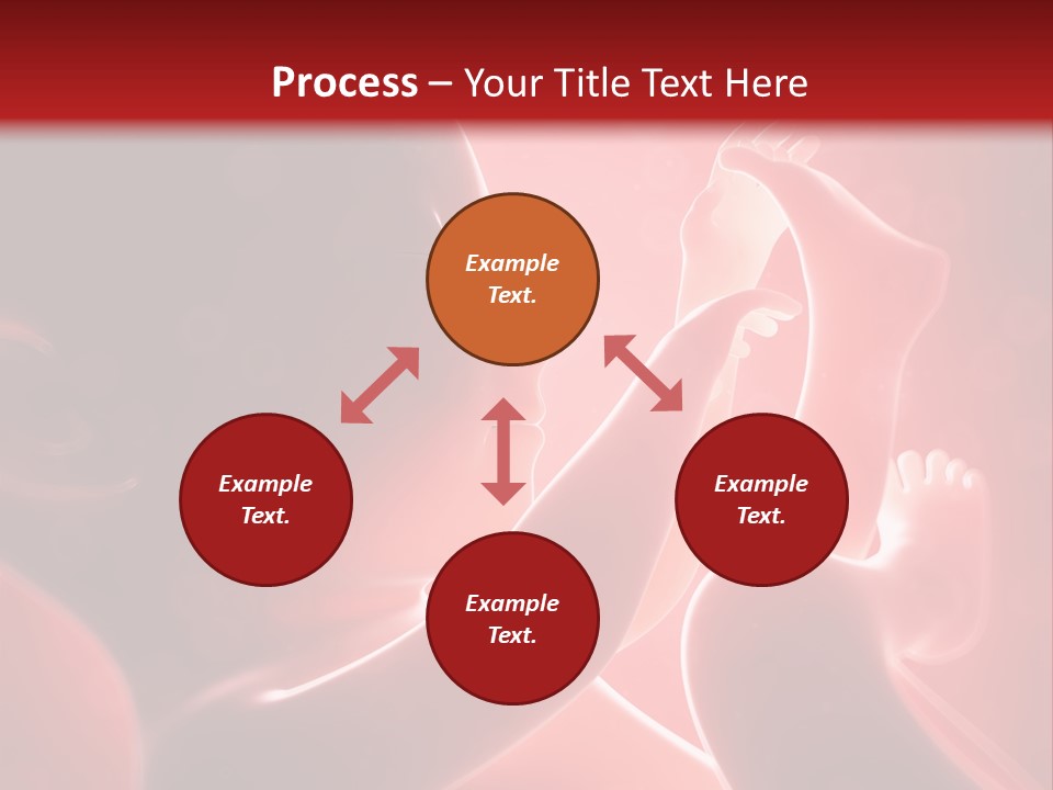 Human Physiology Emryonic PowerPoint Template