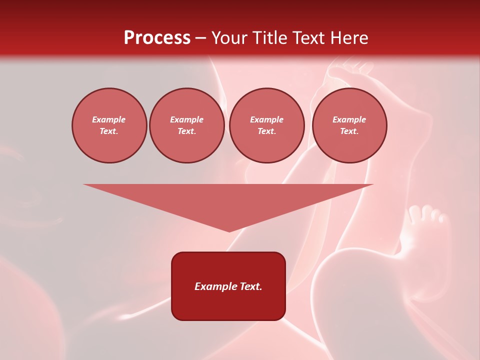 Human Physiology Emryonic PowerPoint Template