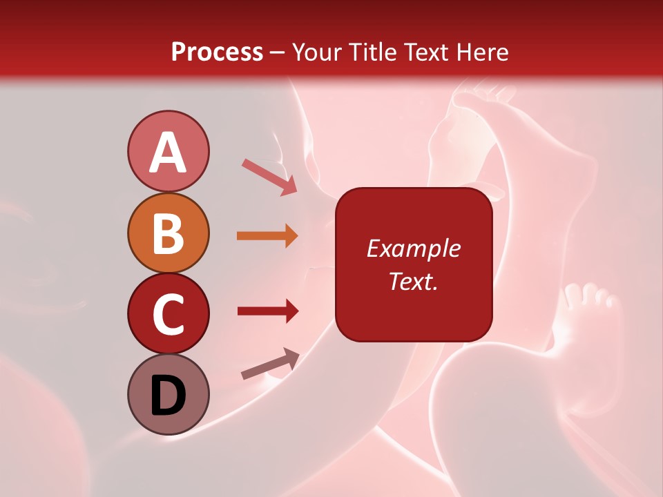 Human Physiology Emryonic PowerPoint Template