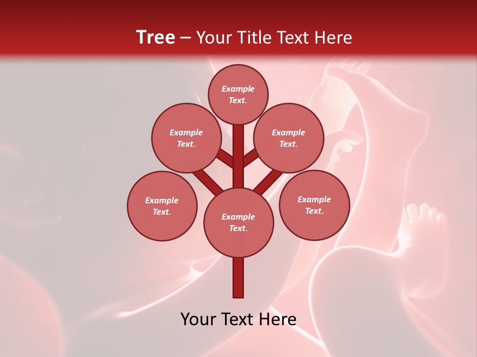 Human Physiology Emryonic PowerPoint Template